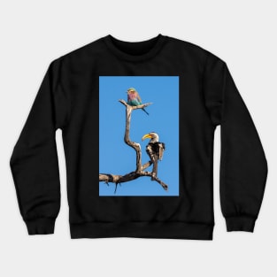 Lilac Breasted Roller and Yellow Billed Hornbill Crewneck Sweatshirt